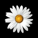 Logo Implenia